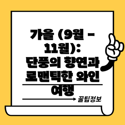 가을 (9월 - 11월): 단풍의 향연과 로맨틱한 와인 여행