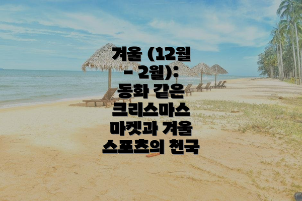 겨울 (12월 - 2월): 동화 같은 크리스마스 마켓과 겨울 스포츠의 천국