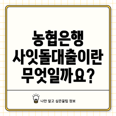 농협은행 사잇돌대출이란 무엇일까요?