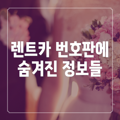 렌트카 번호판에 숨겨진 정보들