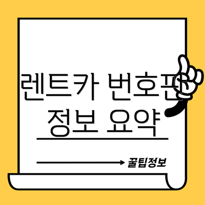 렌트카 번호판 정보 요약