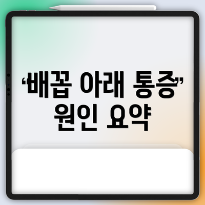 배꼽 아래 통증 원인 요약