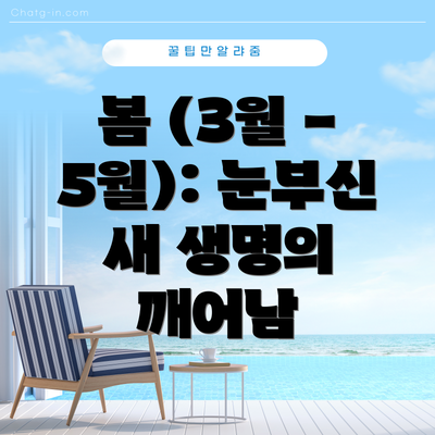 봄 (3월 - 5월): 눈부신 새 생명의 깨어남