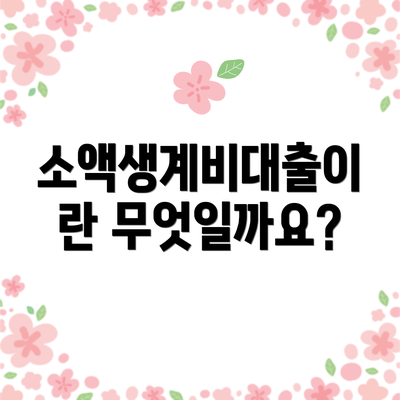 소액생계비대출이란 무엇일까요?