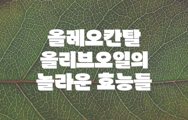 올레오칸탈 올리브오일의 놀라운 효능들