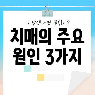 치매의 주요 원인 3가지