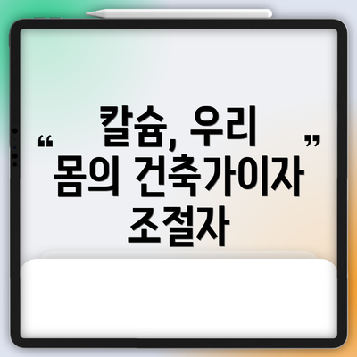 칼슘, 우리 몸의 건축가이자 조절자