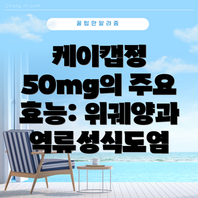 케이캡정 50mg의 주요 효능: 위궤양과 역류성식도염