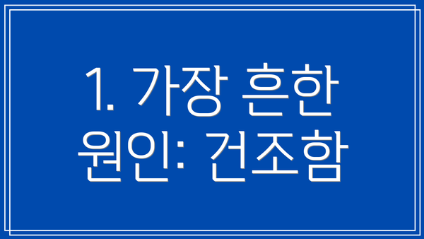 1. 가장 흔한 원인: 건조함