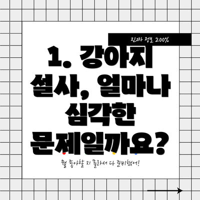 1. 강아지 설사, 얼마나 심각한 문제일까요?