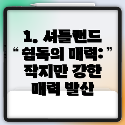 1. 셔틀랜드 쉽독의 매력: 작지만 강한 매력 발산