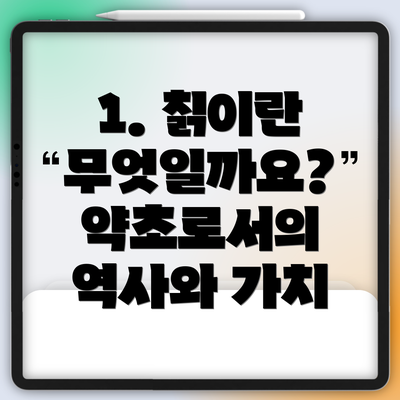 1. 칡이란 무엇일까요?  약초로서의 역사와 가치