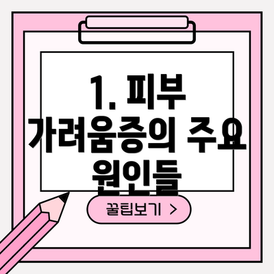 1. 피부 가려움증의 주요 원인들