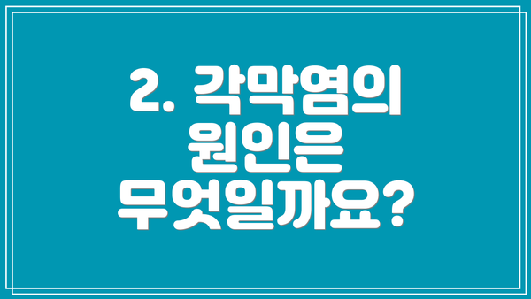 2. 각막염의 원인은 무엇일까요?