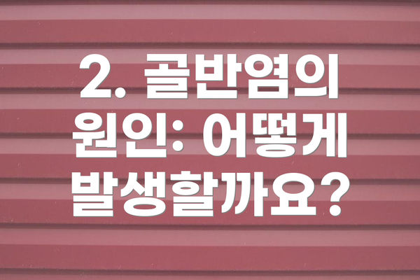2. 골반염의 원인: 어떻게 발생할까요?