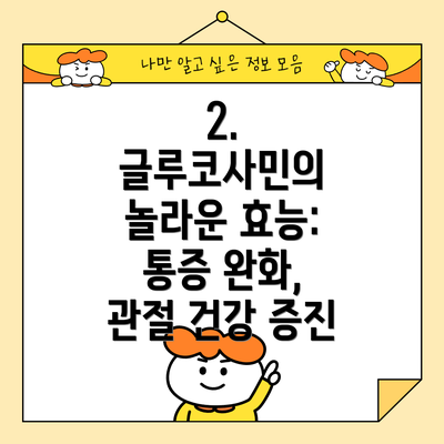 2. 글루코사민의 놀라운 효능: 통증 완화, 관절 건강 증진
