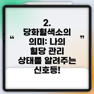 2. 당화혈색소의 의미: 나의 혈당 관리 상태를 알려주는 신호등!