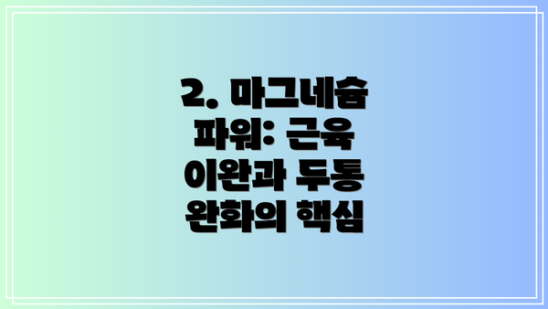 2. 마그네슘 파워: 근육 이완과 두통 완화의 핵심