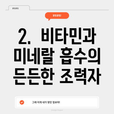 2.  비타민과 미네랄 흡수의 든든한 조력자