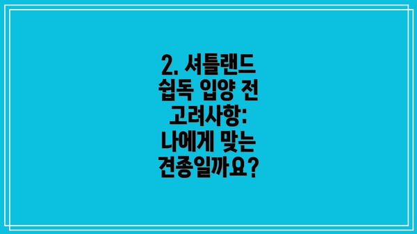 2. 셔틀랜드 쉽독 입양 전 고려사항: 나에게 맞는 견종일까요?