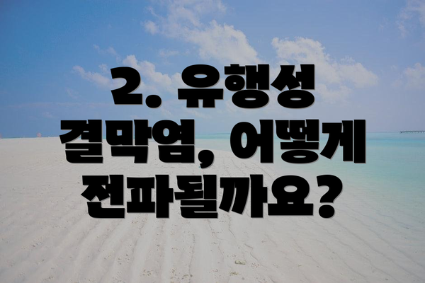 2. 유행성 결막염, 어떻게 전파될까요?