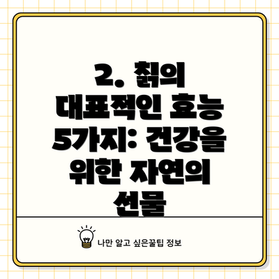 2. 칡의 대표적인 효능 5가지: 건강을 위한 자연의 선물