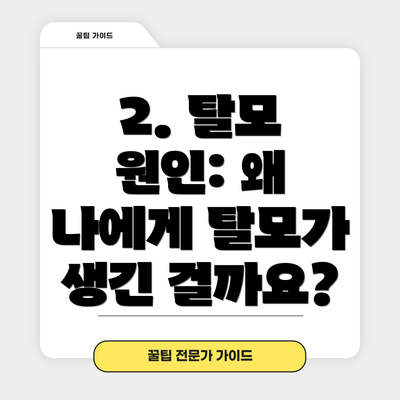 2. 탈모 원인: 왜 나에게 탈모가 생긴 걸까요?