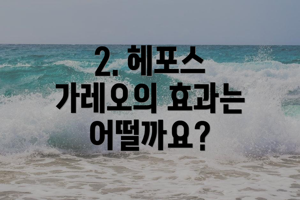 2. 헤포스 가레오의 효과는 어떨까요?