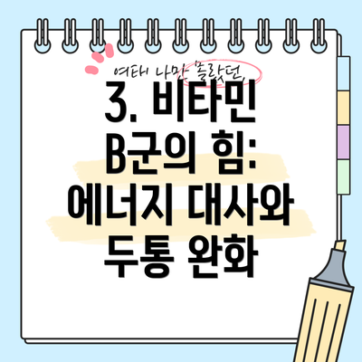 3. 비타민 B군의 힘: 에너지 대사와 두통 완화