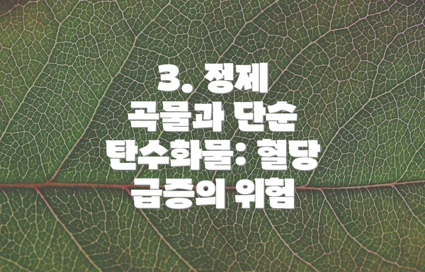 3. 정제 곡물과 단순 탄수화물: 혈당 급증의 위험