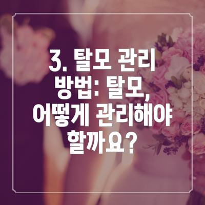 3. 탈모 관리 방법: 탈모, 어떻게 관리해야 할까요?