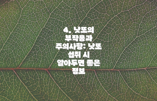 4. 낫또의 부작용과 주의사항: 낫또 섭취 시 알아두면 좋은 정보