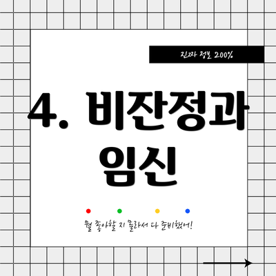 4. 비잔정과 임신