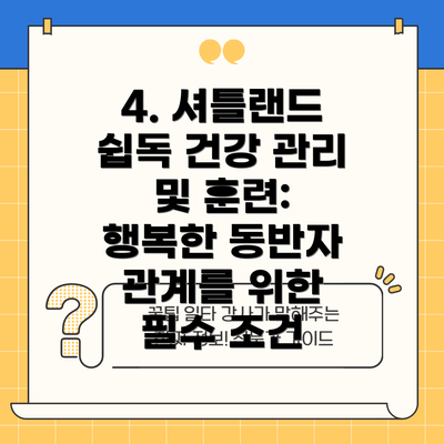 4. 셔틀랜드 쉽독 건강 관리 및 훈련:  행복한 동반자 관계를 위한 필수 조건