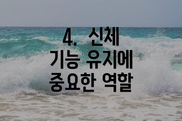 4.  신체 기능 유지에 중요한 역할
