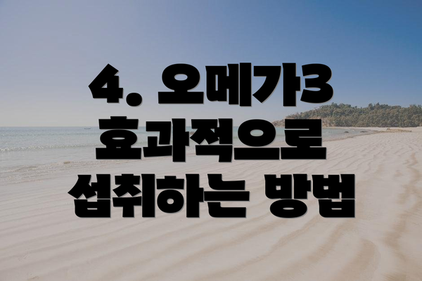 4. 오메가3 효과적으로 섭취하는 방법