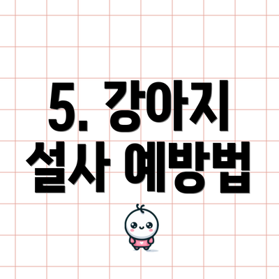5. 강아지 설사 예방법