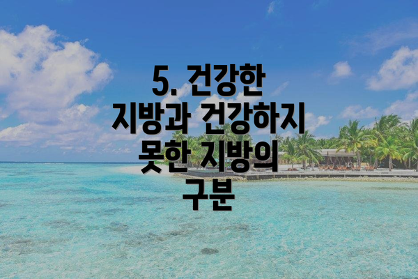 5. 건강한 지방과 건강하지 못한 지방의 구분