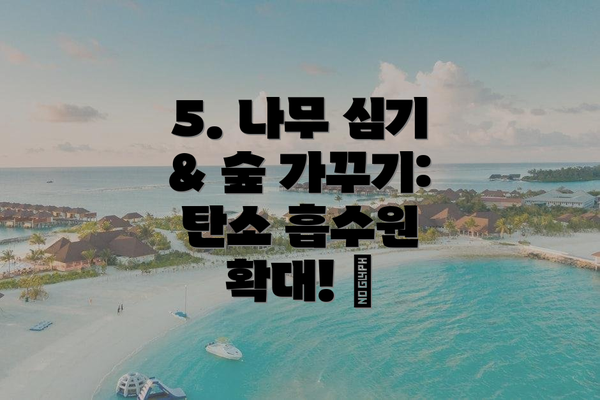 5. 나무 심기 & 숲 가꾸기: 탄소 흡수원 확대! 🌳