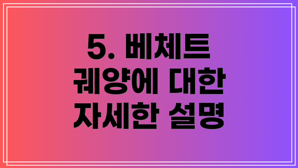 5. 베체트 궤양에 대한 자세한 설명