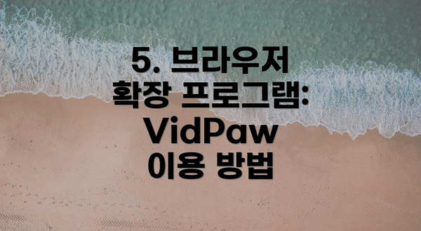 5. 브라우저 확장 프로그램: VidPaw 이용 방법