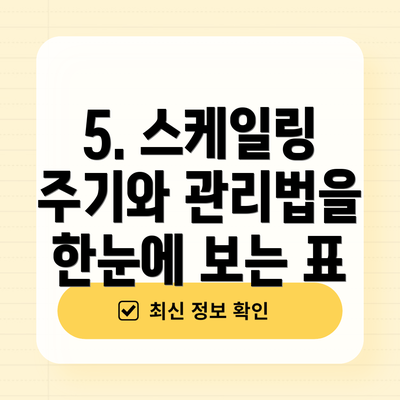 5. 스케일링 주기와 관리법을 한눈에 보는 표
