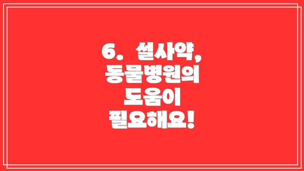 6.  설사약,  동물병원의 도움이 필요해요!