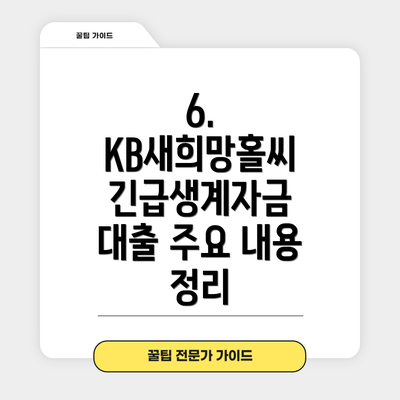 6.  KB새희망홀씨 긴급생계자금 대출 주요 내용 정리