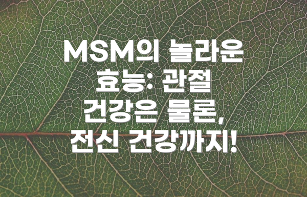 MSM의 놀라운 효능: 관절 건강은 물론, 전신 건강까지!
