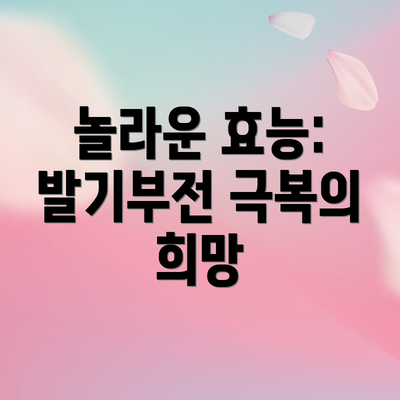 놀라운 효능: 발기부전 극복의 희망