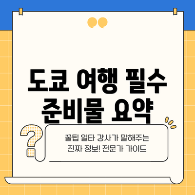 도쿄 여행 필수 준비물 요약