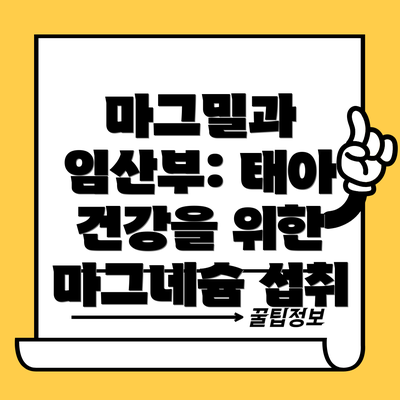 마그밀과 임산부: 태아 건강을 위한 마그네슘 섭취