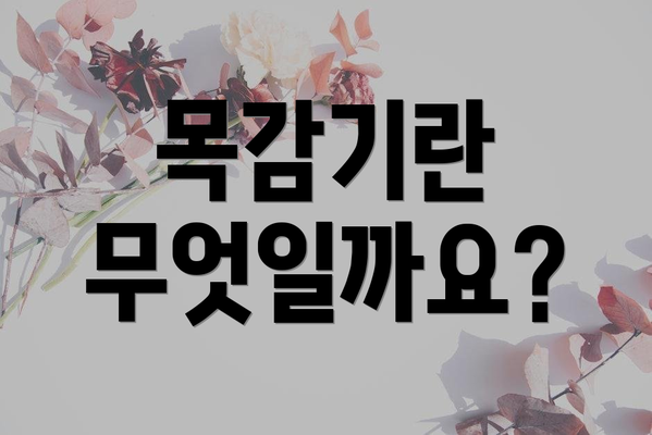 목감기란 무엇일까요?