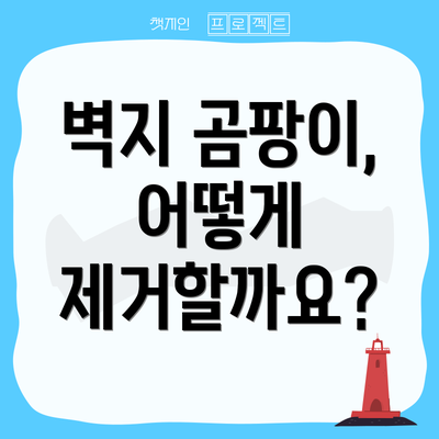 벽지 곰팡이, 어떻게 제거할까요?